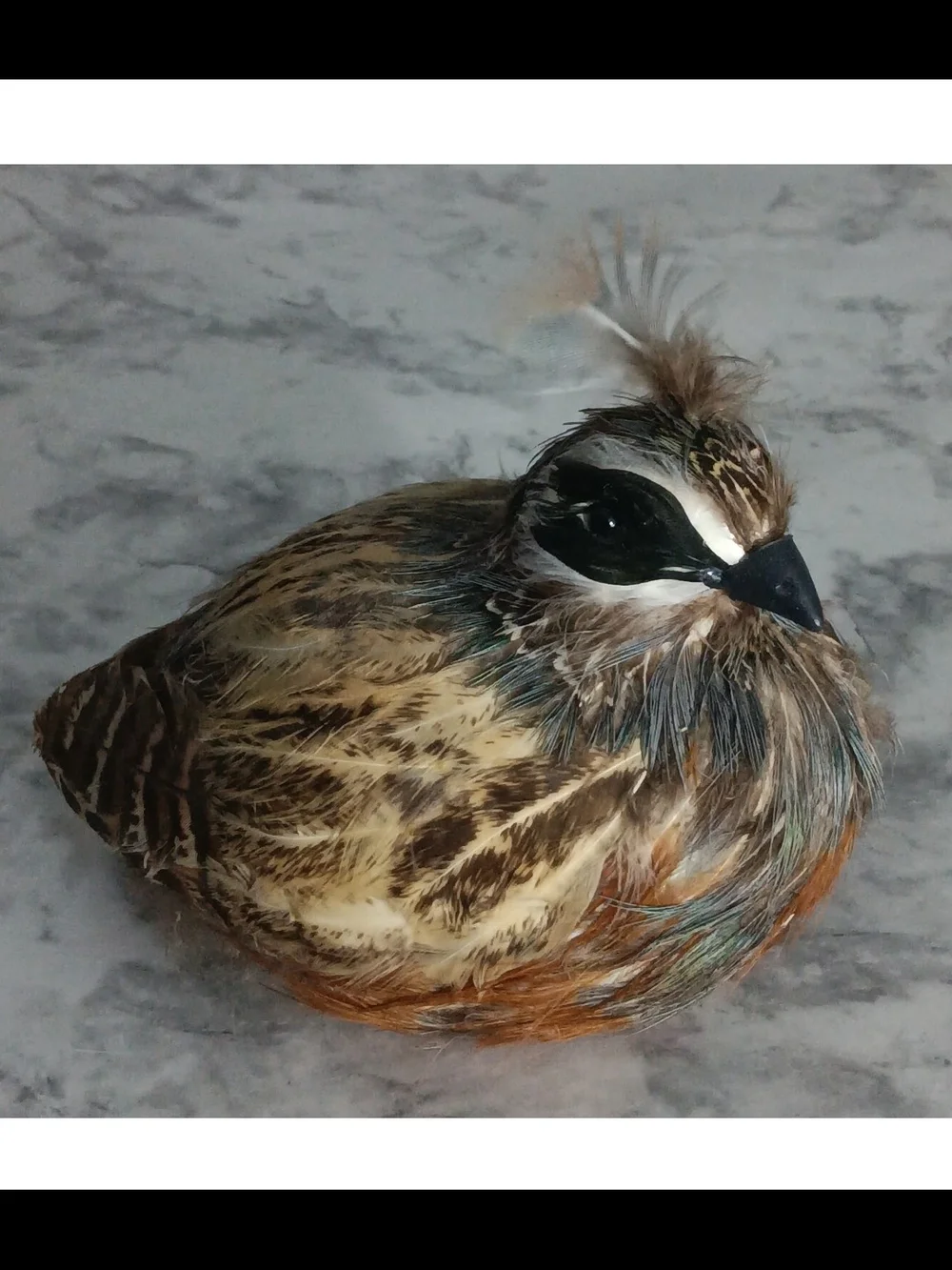 Feathered Quail Bird Decoration – Like New – Approx. 5